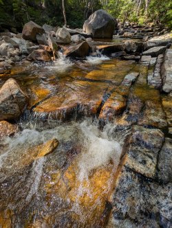 PXL_20240719_194616032.jpg PXL_20240719_194616032.jpg