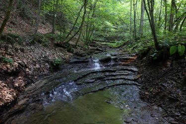 0O7A4259.JPG 0O7A4259.JPG