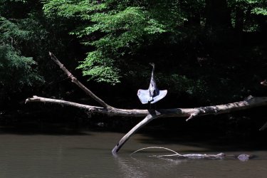 0O7A4298.JPG 0O7A4298.JPG