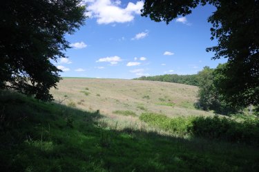 0O7A4302.JPG 0O7A4302.JPG