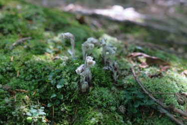 0O7A4304.JPG 0O7A4304.JPG