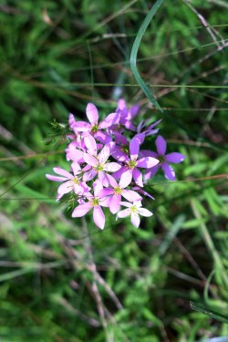 0O7A4308.JPG 0O7A4308.JPG