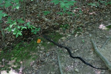 0O7A4248.JPG 0O7A4248.JPG