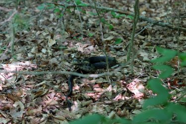 0O7A4255.JPG 0O7A4255.JPG