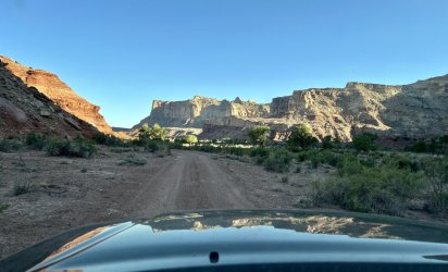 IMG_3125.jpeg IMG_3125.jpeg