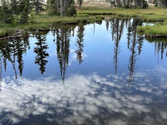 IMG_9822.jpg IMG_9822.jpg