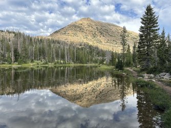 IMG_9817.jpg IMG_9817.jpg