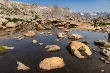 MountainSummer2024-06817.jpg MountainSummer2024-06817.jpg