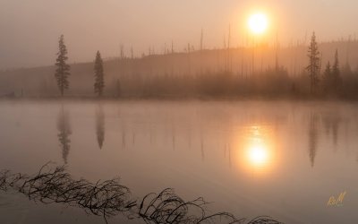 MountainSummer2024-07114-2.jpg MountainSummer2024-07114-2.jpg