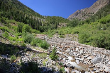 0O7A4349.JPG 0O7A4349.JPG