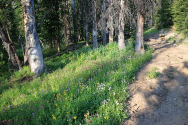 0O7A4371.JPG 0O7A4371.JPG