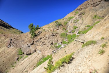 0O7A4400.JPG 0O7A4400.JPG