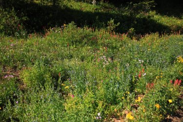 0O7A4427.JPG 0O7A4427.JPG