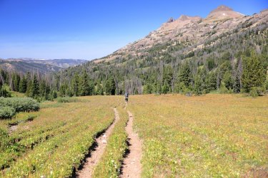 0O7A4429.JPG 0O7A4429.JPG