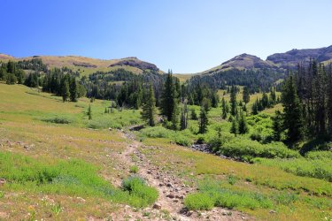 0O7A4433.JPG 0O7A4433.JPG