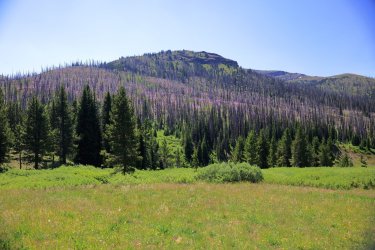 0O7A4447.JPG 0O7A4447.JPG