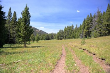 0O7A4451.JPG 0O7A4451.JPG