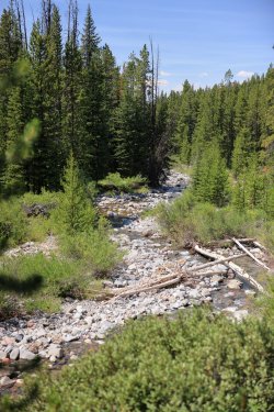 0O7A4455.JPG 0O7A4455.JPG