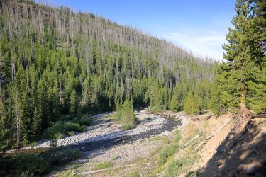 0O7A4474.JPG 0O7A4474.JPG