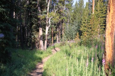 0O7A4477.JPG 0O7A4477.JPG