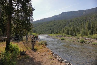 0O7A4519.JPG 0O7A4519.JPG