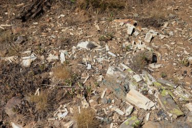 0O7A4525.JPG 0O7A4525.JPG