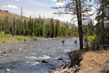 0O7A4534.JPG 0O7A4534.JPG