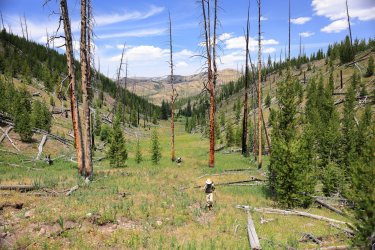 0O7A4555.JPG 0O7A4555.JPG