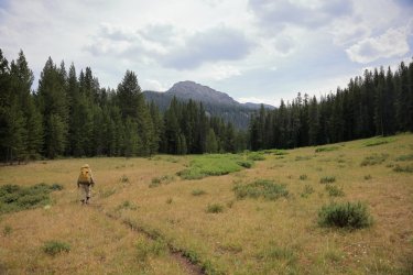 0O7A4571.JPG 0O7A4571.JPG