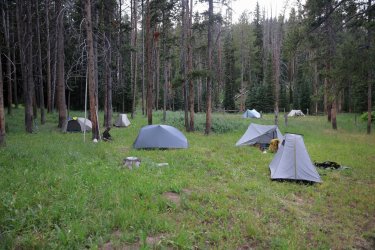 0O7A4579.JPG 0O7A4579.JPG