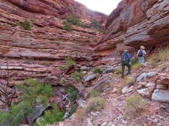 IMG_3902.jpg IMG_3902.jpg