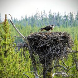 RCM07586-EDIT (1).jpg