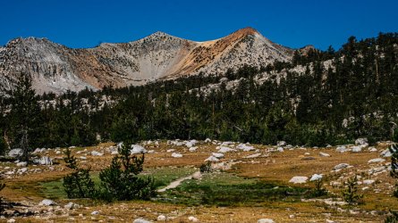 DSC03526-Enhanced-NR.jpg DSC03526-Enhanced-NR.jpg