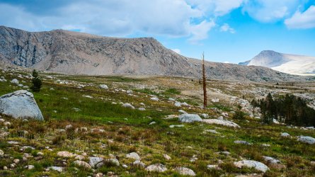 DSC03668-Enhanced-NR.jpg DSC03668-Enhanced-NR.jpg