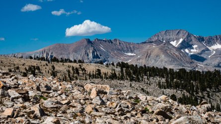 DSC03708-Enhanced-NR.jpg DSC03708-Enhanced-NR.jpg