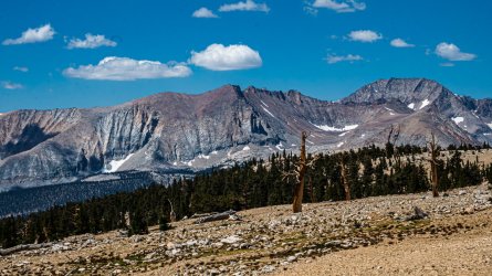 DSC03719-Enhanced-NR.jpg DSC03719-Enhanced-NR.jpg