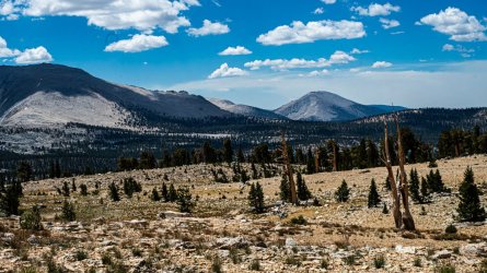 DSC03723-Enhanced-NR.jpg DSC03723-Enhanced-NR.jpg