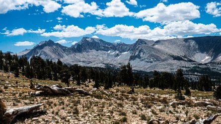 DSC03725-Enhanced-NR.jpg DSC03725-Enhanced-NR.jpg