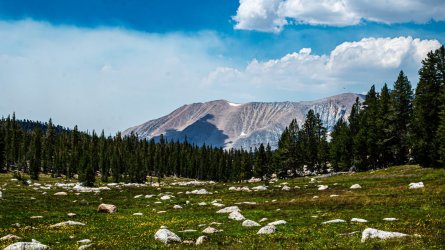 DSC03742-Enhanced-NR.jpg DSC03742-Enhanced-NR.jpg