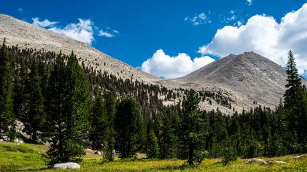 DSC03748-Enhanced-NR.jpg DSC03748-Enhanced-NR.jpg