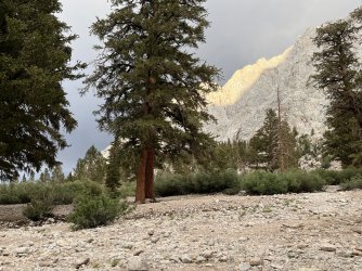 IMG_1682.JPG IMG_1682.JPG