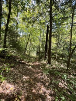 IMG_7813.jpeg IMG_7813.jpeg