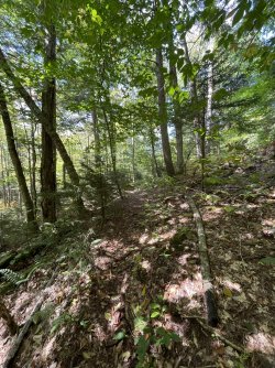 IMG_7814.jpeg IMG_7814.jpeg