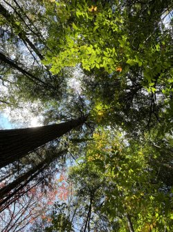 IMG_7815.jpeg IMG_7815.jpeg