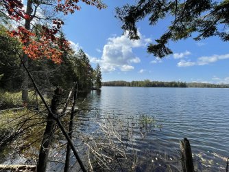 IMG_7817.jpeg IMG_7817.jpeg