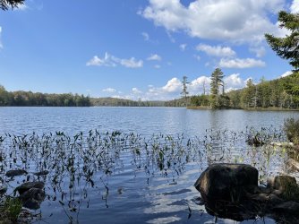 IMG_7819.jpeg IMG_7819.jpeg