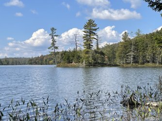 IMG_7820.jpeg IMG_7820.jpeg