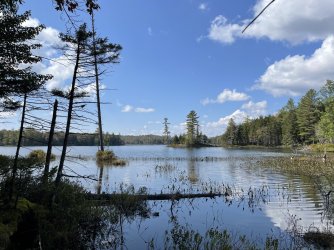 IMG_7823.jpeg IMG_7823.jpeg