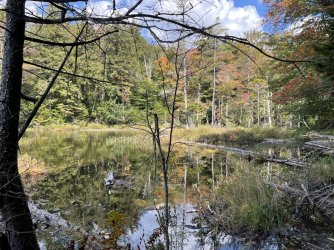 IMG_7824.jpeg IMG_7824.jpeg