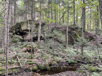 IMG_7826.jpeg IMG_7826.jpeg